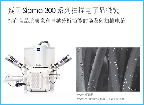 蔡司Sigma 300 場發射掃描電鏡